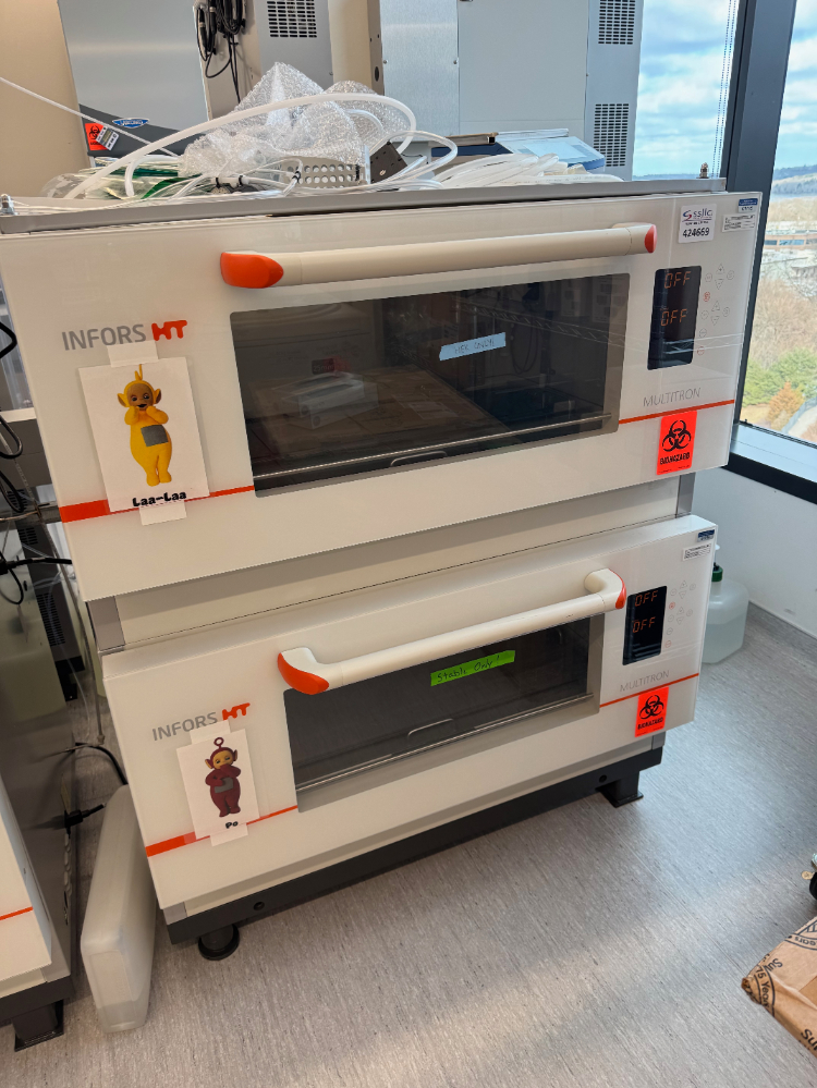 Image of Infors HT Multitron Double Stack Incubator Shaker